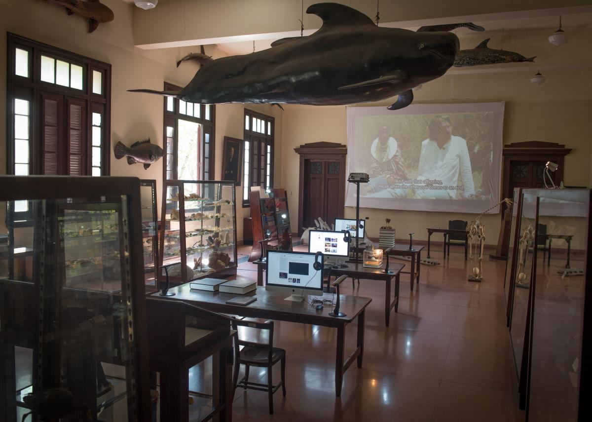 L.O.C.K. Biennial Cuba