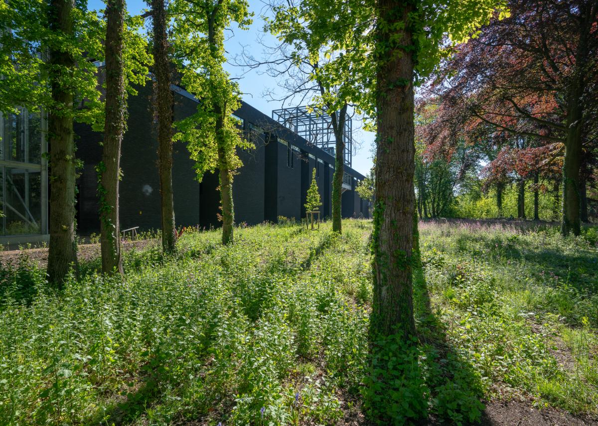 The Battery - Studio Koen Vanmechelen, LABIOMISTA, Genk (BE), 2019, photo Kris Vervaeke The Battery - Studio Koen Vanmechelen, LABIOMISTA, Genk (BE), 2019, photo Kris Vervaeke