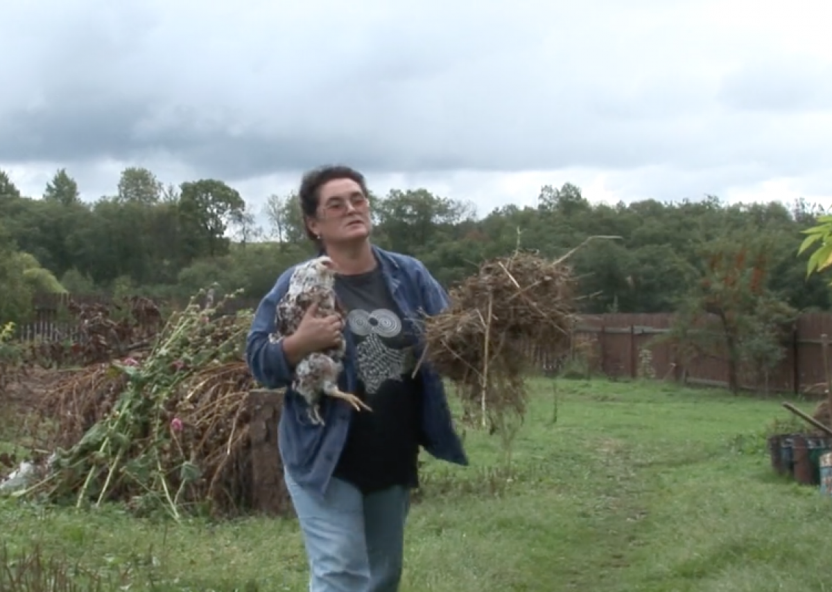 The Cosmopolitan Chicken Project - Mechelse Orloff, 13th Generation