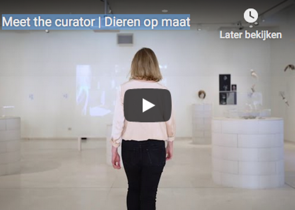 Design Museum Gent, Meet the curator | Dieren op maat