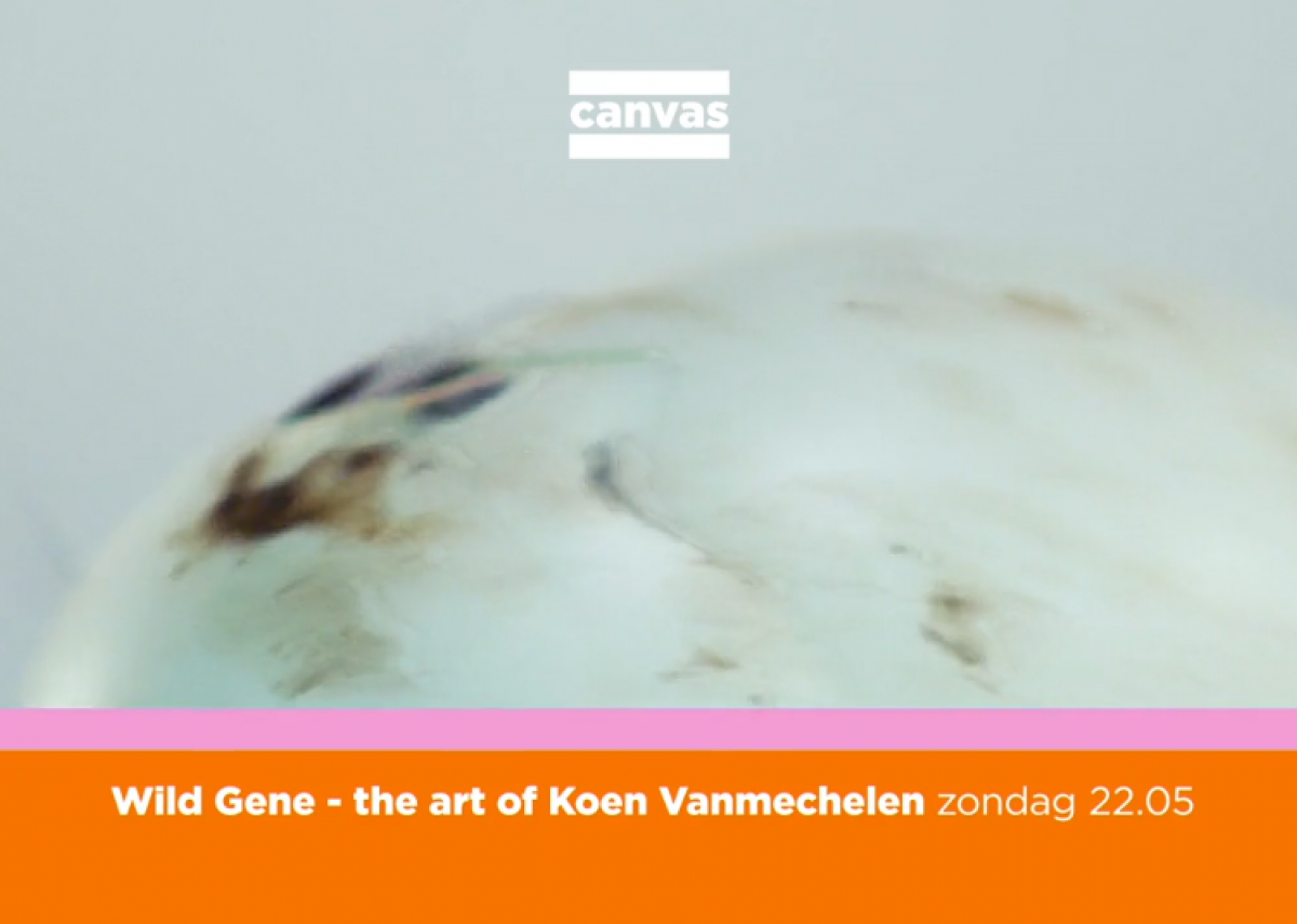 WILD GENE - The Art of Koen Vanmechelen