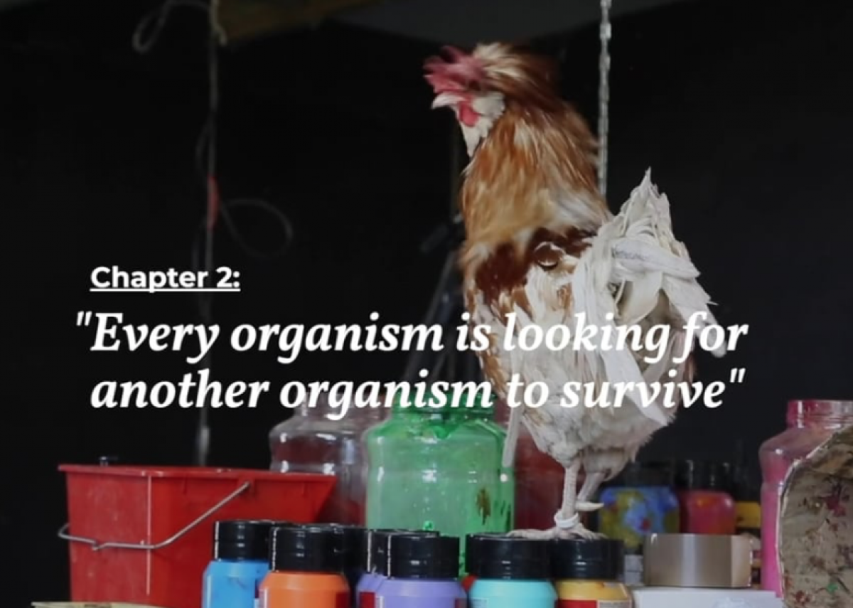 The Worth of Life, Chapter II - “Every organism is looking for another organism to survive”