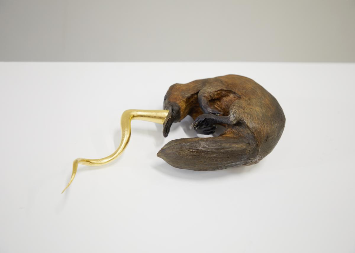 Golden Cord © Koen Vanmechelen Golden Cord © Koen Vanmechelen
